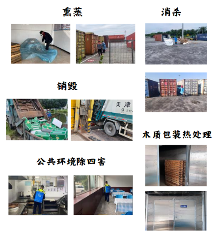 检验检疫处理2.png